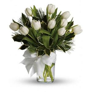 White Tulips