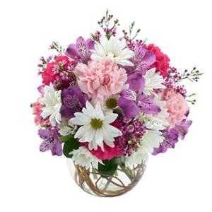 Summertime Blooms