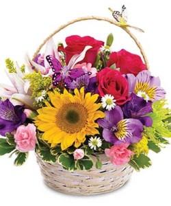 Butterfly Basket