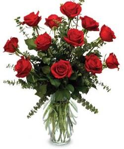 Roses from the Heart