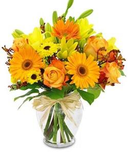 Field Picked Autumn Bouquet