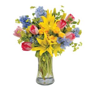 Joy of Spring