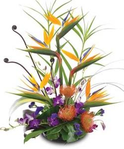 Mahalo – Canadianflowershoppe.ca, Scarborough ON