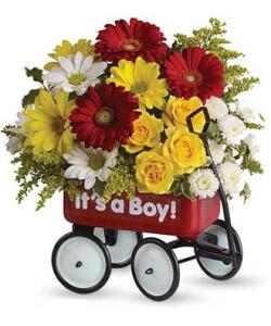 Baby’s First Wagon –Boy