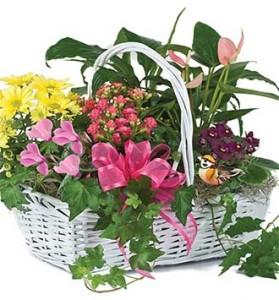 Blooming Garden Basket