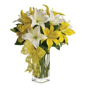 Springtime Lilies