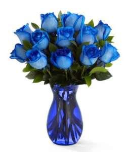 Bodacious Blue Roses Arranged