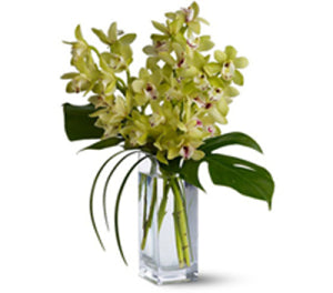 Orchid Elegance Bouquet – Canadianflowershoppe.ca, Scarborough ON