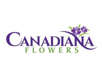 Canadianflowershoppe.ca