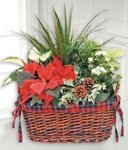 Holiday Planter