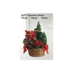 Tannenbaum Planter
