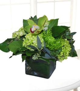 Gracious Greens