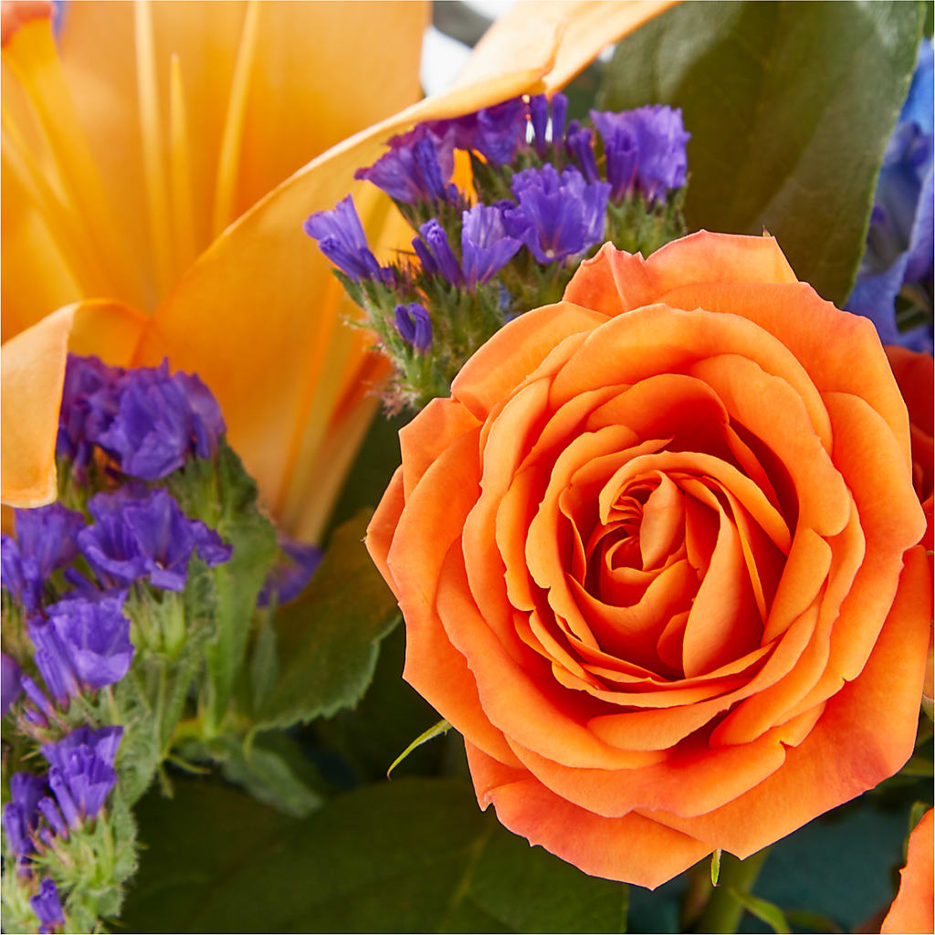 Radiant Citrus Box Bouquet –  Canadianflowershoppe.ca, Scarborough ON