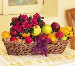 Fruit & Flowers