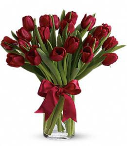 Red Tulips