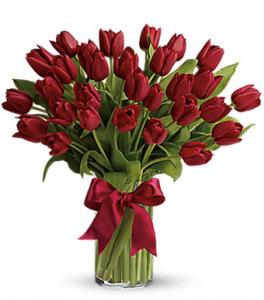 Red Tulips