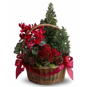 Tannenbaum Basket