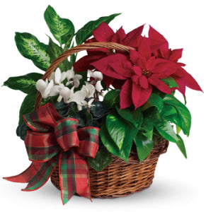 Holiday Homecoming Planter Basket