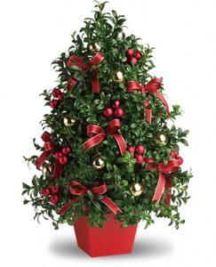 Deck the halls boxwood designed tree