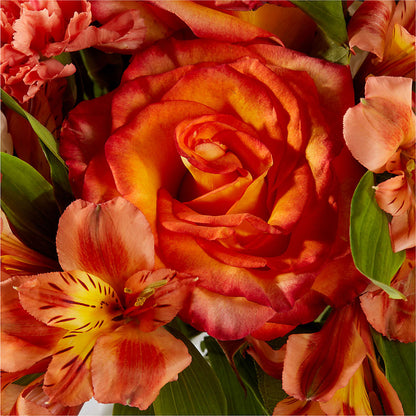 Apricot Glow Bouquet –  Canadianflowershoppe.ca, Scarborough ON